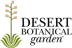 Desert Botanical Garden